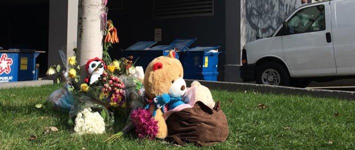Baby born, dies in University of Illinois campus dormitory Baby born, dies in University of Illinois campus dormitory