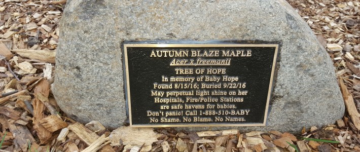 Baby Hope honored in Wheaton as police seek answers in her death Baby Hope honored in Wheaton as police seek answers in her death
